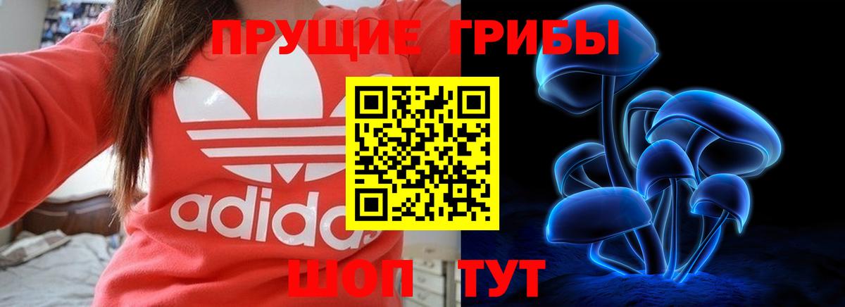 Ливны  Псилоцибиновые грибы Psilocybe  Вход с VPN  Псилоцибиновые грибы GOLDEN TEACHER 